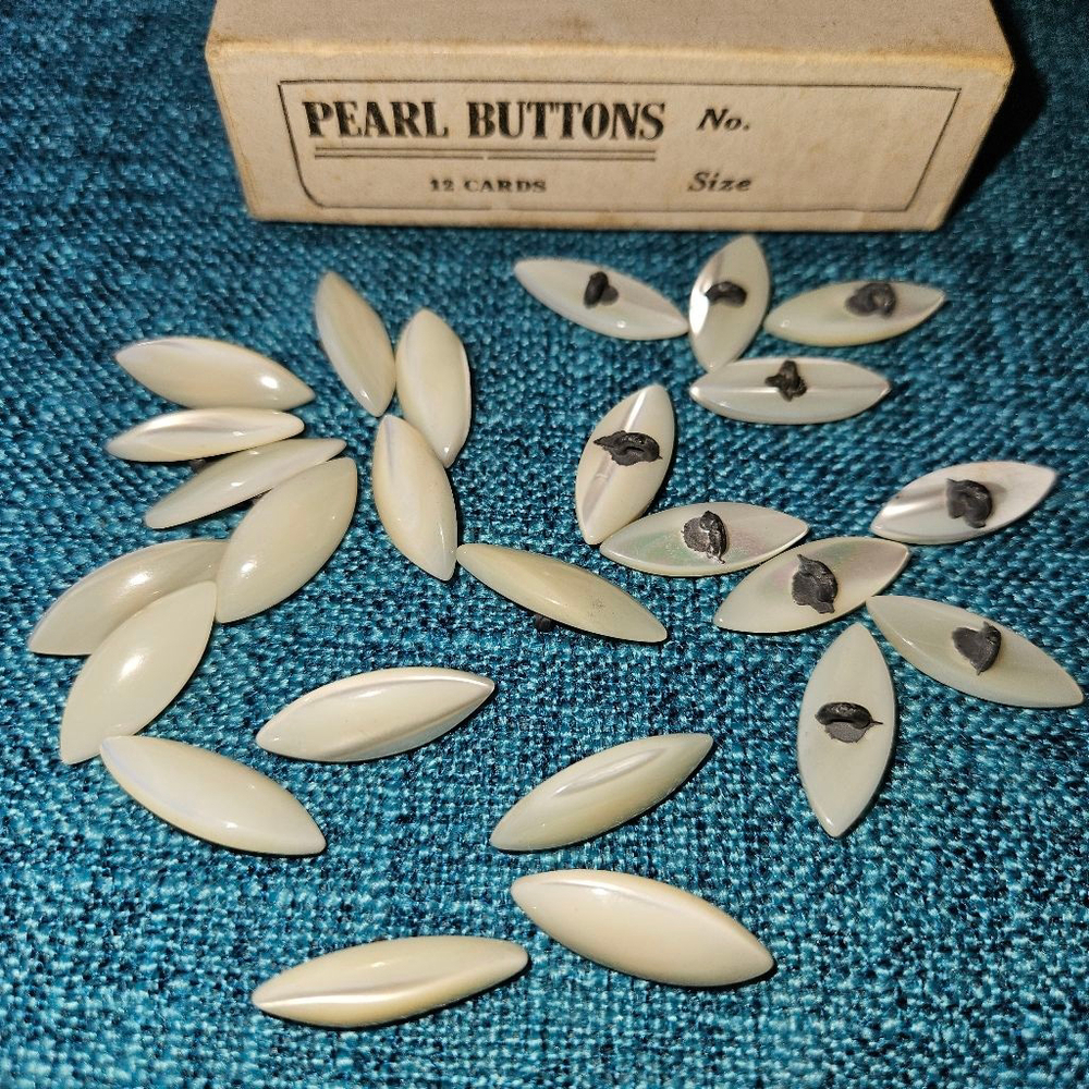 Mother of Pearl Irodecent Vintage Buttons Shank Lot of 6 Victorian Art Nouveau